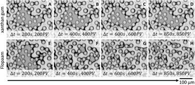 Effect of viscoelasticity on displacement processes in porous media